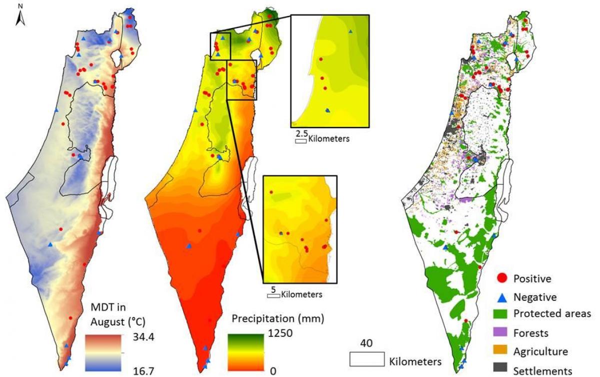 מפה של ישראל האקלים